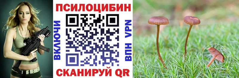 Псилоцибиновые грибы мицелий  Купить  Павловск 